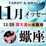 【蠍座♏️11月】㊗️素晴らしいシンクロ！最高の世界へのゲートが開く！《土の時代のフィナーレ／今重要なメッセージ💌》