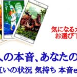 🌹恋愛タロット・オラクル占い🌹【辛口あります】あの人の本音、あなたの本音 お互いの状況 お互いの気持ちと本音