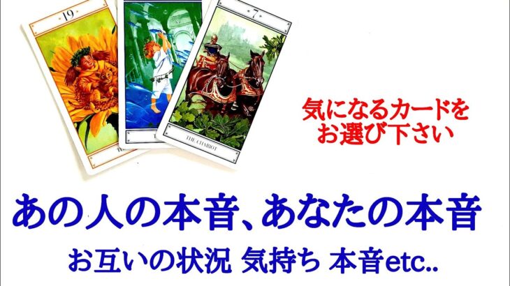 🌹恋愛タロット・オラクル占い🌹【辛口あります】あの人の本音、あなたの本音 お互いの状況 お互いの気持ちと本音