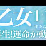 乙女座さん11月運勢♍️新しいスタート🫧運命が動く🪽再生🌱神展開🫶仕事運🌈恋愛運💫金運【#占い #おとめ座 #2024年】