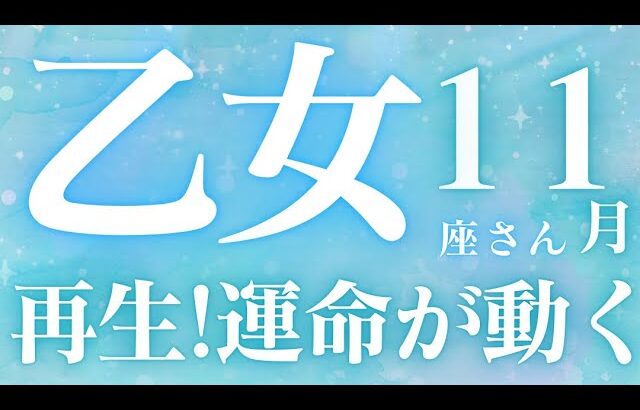 乙女座さん11月運勢♍️新しいスタート🫧運命が動く🪽再生🌱神展開🫶仕事運🌈恋愛運💫金運【#占い #おとめ座 #2024年】