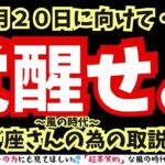 【緊急⚠️】【やぎ座さんへ告ぐ】１１月２０日風の時代突入前に覚醒の準備をせよ。破壊されてもいいんです。何故ならば・・・。