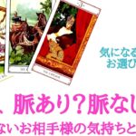 🌹恋愛タロット・オラクル占い🌹【片思い曖昧な関係複雑な関係復縁遠距離etc..】この恋、脈あり？それとも脈なし？？見えないお相手様のあなたへのお気持ちと本心