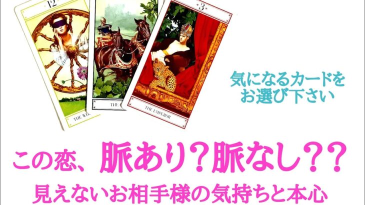 🌹恋愛タロット・オラクル占い🌹【片思い曖昧な関係複雑な関係復縁遠距離etc..】この恋、脈あり？それとも脈なし？？見えないお相手様のあなたへのお気持ちと本心