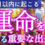 【人生が大変化する時😳】近々あなた史上最幸の展開が待っている🩷個人鑑定級深掘りリーディング［ルノルマン/タロット/オラクルカード］