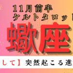 【覚悟して🥹】突然起こる進展とは　蠍座　11月前半ケルトタロット占い#星座 #星座占い #タロット#ケルト#恋愛