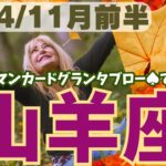 ❤️🕊️【やぎ座♑さん】🌄《11月1日～11月15日》11月前半リーディング💐2024年12星座別🔮山羊座運勢✨♠ルノルマンカードグランタブロー♠タロットカード・オラクルカードでもみていきましょう🔮