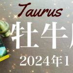 【おうし座】2024年11月♉️抜ける！！これまでの努力が実を結びゴールへ！！空はもう明るい、背中の荷物をゆっくりと静かに降ろす、目印が見え始める