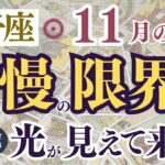 【獅子座さん】2024年11月の「しし座」の星読みとタロット鑑定は？〜我慢の限界…でも光が見えて来た！〜