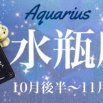 みずがめ座♒️2024年10月後半〜11月前半🌝 劇的！！大きな山が動く！まだまだ捨てたもんじゃない、解放と放流、やっと心からの感動