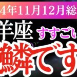 【山羊座】2024年11月・12月運勢🔮 やぎ座の星とタロットが導く未来✨山羊座の運命が動き出す瞬間を見逃さないで！」