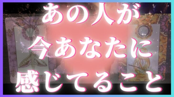 あの人にあなたの事を聞いてみた🦄💖恋愛タロット占い🌞🌈