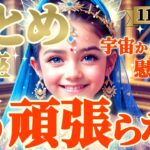 【乙女座♍11月前半運勢】ここまで突っ走ってきた！お疲れ様よく頑張ったね　もう頑張らなくていいよ　✡️キャラ別鑑定/ランキング付き✡️