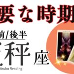 天秤座11月は【超重要な時期です】可能性が広がる❗️豊かさを手に入れましょう❗️前半後半仕事恋愛人間関係♎️【脱力系タロット占い】