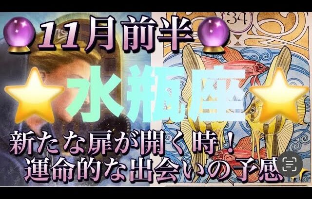 水瓶座♒️さん⭐️11月前半の運勢🔮新たな扉が開く時‼️運命的な出会いの予感も✨✨タロット占い⭐️