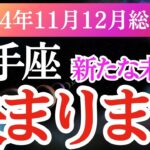 【射手座】2024年11月・12月のいて座の運命タロットと星々が導く。射手座の新たな未来へ一歩踏み出しましょう！