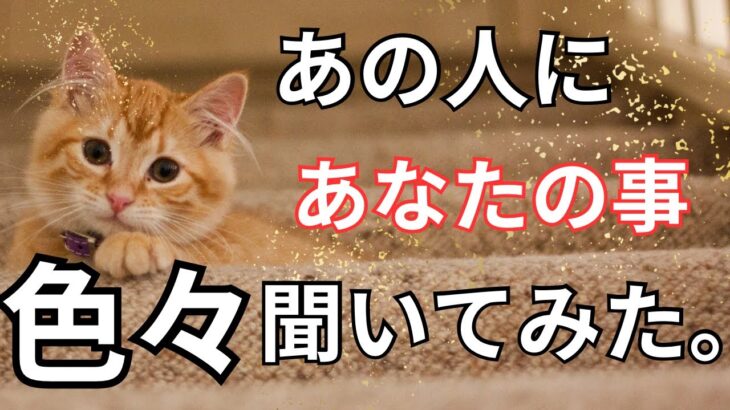 あの人にあなたの事を全部聞いてみた。鳥肌もん🫨恋愛タロット占い ルノルマン オラクルカード 個人鑑定級に深掘りリーディング