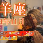 【山羊座】2024年11月の運勢　過去一深いリーディングになりました🥹山羊座さん、本当に今までよく頑張ってきたね。