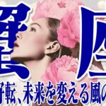 【かに座11月下旬〜12月上旬】焦りからの脱却｜運命の風に乗る時【癒しの眠れる占い】