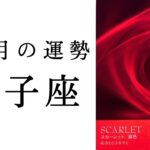 【双子座🍁11月の運勢】想像以上に2025年、大きな役割を担うふたご座続出…😳2024年タロット占い