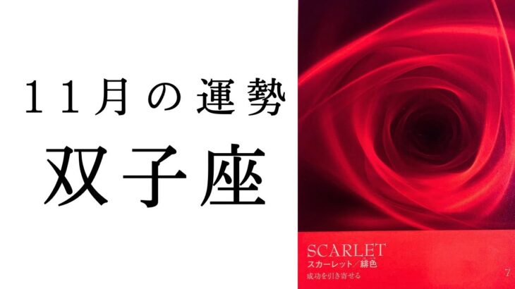 【双子座🍁11月の運勢】想像以上に2025年、大きな役割を担うふたご座続出…😳2024年タロット占い