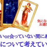 🌹恋愛タロット・オラクル占い🌹【本気の気持ちがありました】会えていない、会っていない間にあの人が、あなたについて考えていること