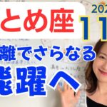 【おとめ座】自分の中を旅する✨新たな可能性が見えてくる✨さらなる飛躍に向けた断捨離のとき／占星術でみる11月の運勢と意識してほしいこと