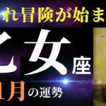 【乙女座11月】明るい始まりのエネルギー！✨この人生でやってみたいこと、どんどんやっていこう！（タロット＆オラクルカードリーディング）