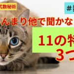 【数秘11】ほかではあまり言われてないマニアックな11の特徴について