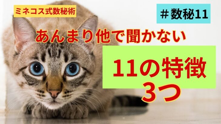 【数秘11】ほかではあまり言われてないマニアックな11の特徴について