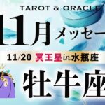 【牡牛座♉️11月】歓喜の神回です🌈もの凄い引き寄せが起きてます👏《土の時代の大フィナーレ／今重要なメッセージ💌》