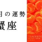 【蟹座🌙10月の運勢】人気運大上昇🌈✨個人鑑定級に詳細を語りました😳2024年タロット占い