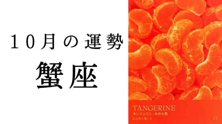 【蟹座🌙10月の運勢】人気運大上昇🌈✨個人鑑定級に詳細を語りました😳2024年タロット占い