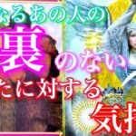 💕神回×ハッキリ×辛口注意🍁気になるあの人の全く裏のないあなたに対する気持ち🦋