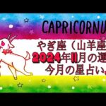 やぎ座（山羊座) 2024年11月の運勢｜今月の星占い.