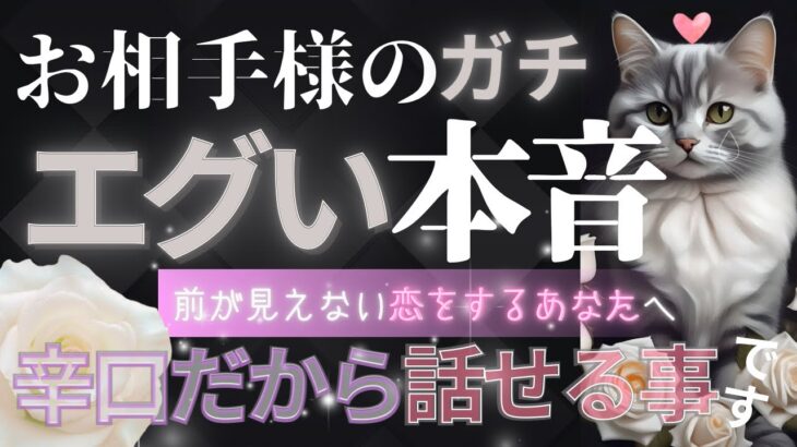 【辛口で的確🐱結論からガチ忖度なし‼️】進まぬ恋のお相手・エグい本音を暴きます！【お相手様のお気持ち♦︎有料鑑定級♦︎】