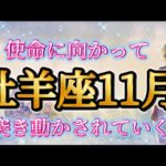 牡羊座11月♈️もう応援されてるとしか思えない😳✨使命に突き動かされるタイミングがくる🌈