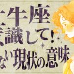 牡牛座✨11月の牡牛座に緊急事態が発生します。飛躍の前兆がやってきます【休息 準備期間】全体 仕事 恋愛