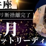 【牡牛座】11月🍁スピーディな引き寄せを実感🥹✨最高の実り！ゆったり大事な選択を！