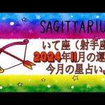 いて座（射手座) 2024年11月の運勢｜今月の星占い.