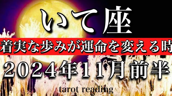 いて座♐︎2024年11月前半 常にブレない🔥着実な歩みが運命を変える時　Sagittarius tarot  reading