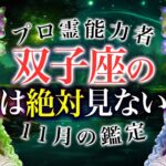 【双子座🔮】チャンスに恵まれる最高の月が到来！？注意点しないと大損…？恋愛・仕事・総合運全て解説