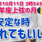 【2024年10月11日山羊座上弦の月🌓】諦めないで。根気強い対話が鍵。【ホロスコープ・西洋占星術】