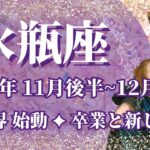 【みずがめ座】11月後半運勢　これは必見👀バラ色に輝く新世界、始動💌卒業、そして新しい旅が始まる🌈幸運の鍵は、計画の見直しと優先順位【水瓶座 １１月】【タロット】