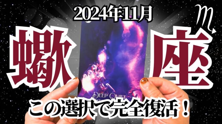 【さそり座♏️2024年11月】🔮タロット占い🔮〜この選択をしていけば、あなたの完全復活が必ず待っています✨〜