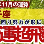 【双子座】2024年11月ふたご座の運勢をタロット占い・占星術で鑑定～努力が形となり金運が飛躍～