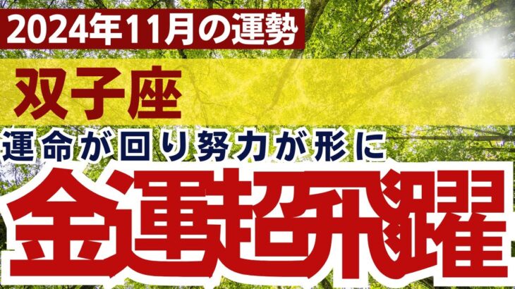 【双子座】2024年11月ふたご座の運勢をタロット占い・占星術で鑑定～努力が形となり金運が飛躍～