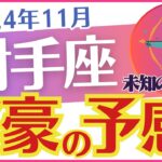 【射手座】2024年11月のいて座の運勢を占う🔮タロットと星✨のメッセージ🕊️で癒し🕯️と希望を届けます✉️「💰💰富豪の予感💰💰😭」