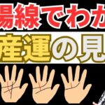 【手相占い】太陽線でわかる財産運の見方！将来お金を残せる4つの太陽線を紹介