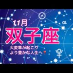 2024年11月　双子座♊️  大変革が起こりより豊かな人生へと進む時